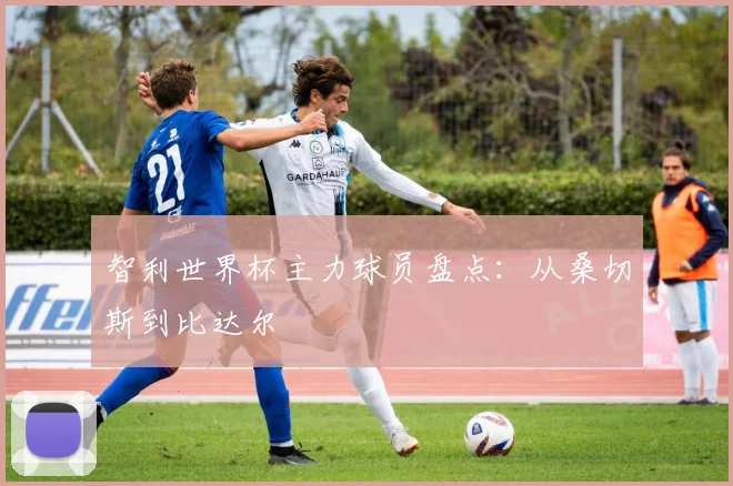智利世界杯主力球员盘点：从桑切斯到比达尔